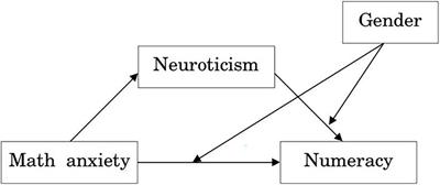 Numeracy Gender Gap in STEM Higher Education: The Role of Neuroticism and Math Anxiety